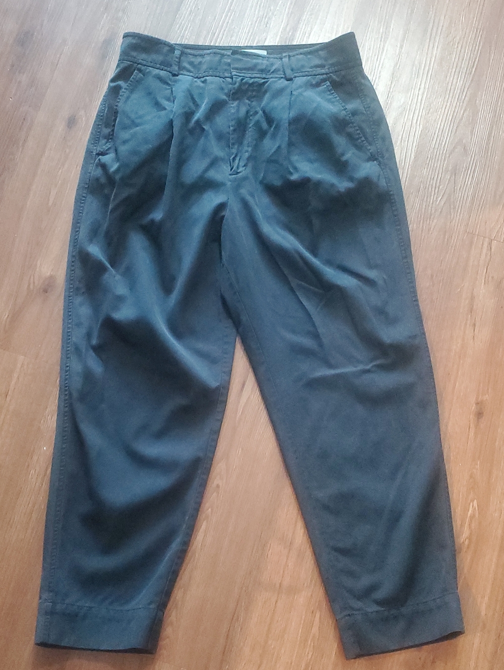 Everlane Washed Black Wide-Leg Pleated Pants